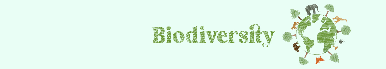 生物多様性