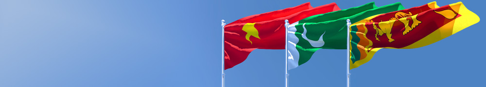 その他アジア経済