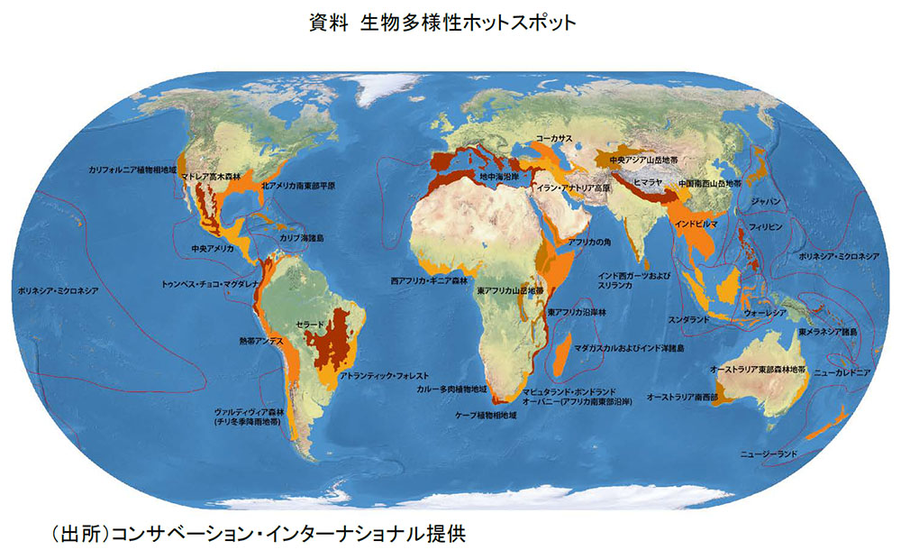 図表