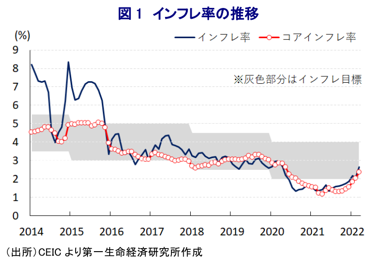 図 1 インフレ率の推移